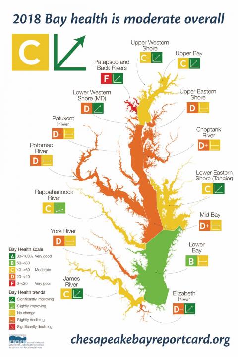 chesapeake-bay-health-score-decreased-last-year-due-to-extreme-rainfall